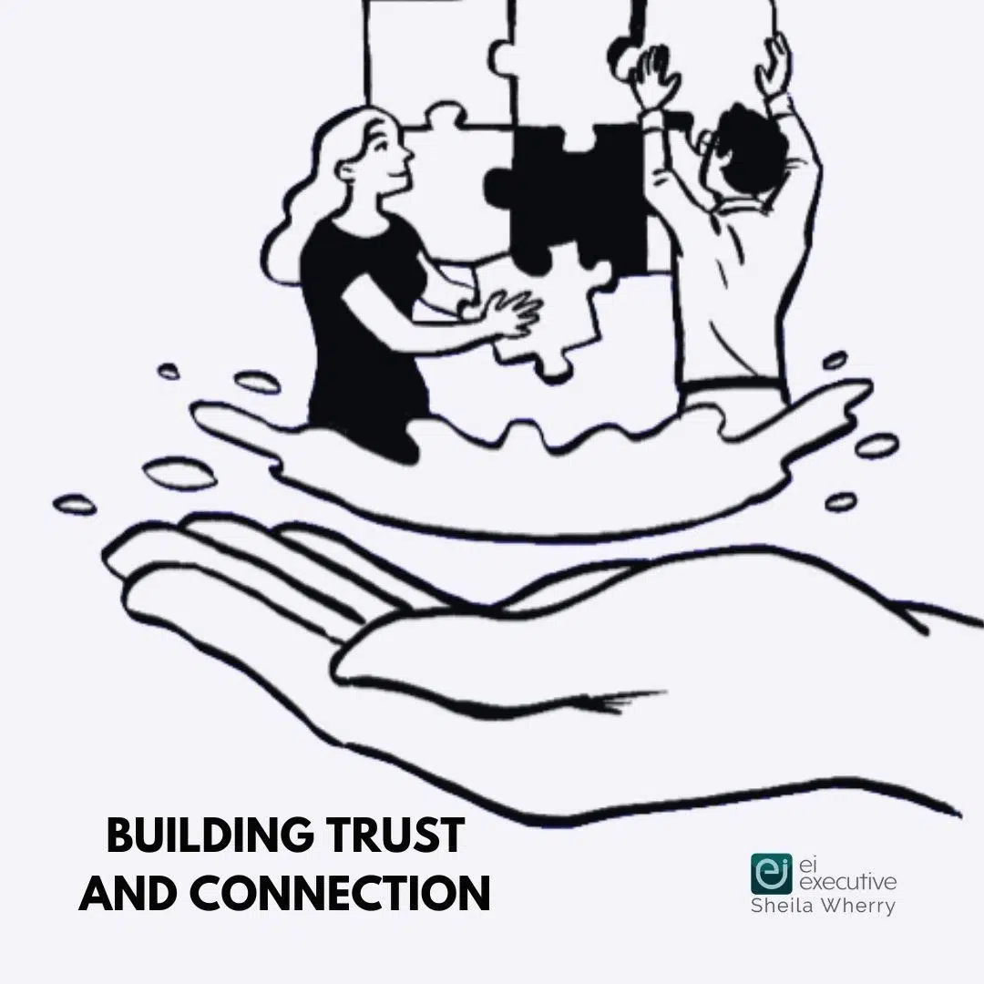 building trust and connection