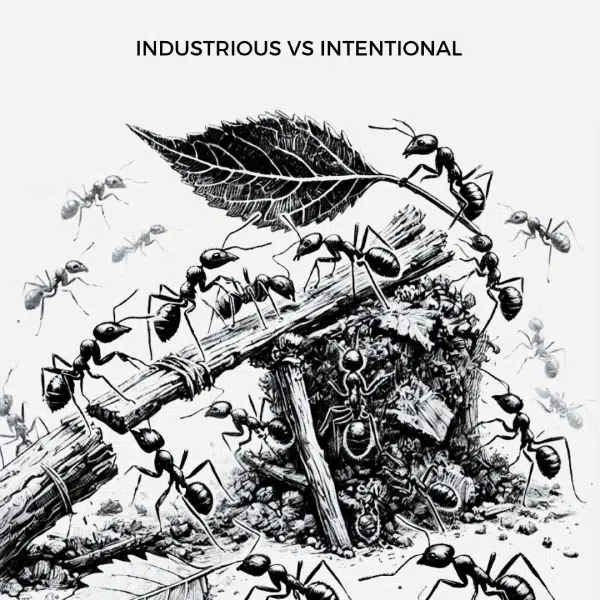 industrious vs intentional