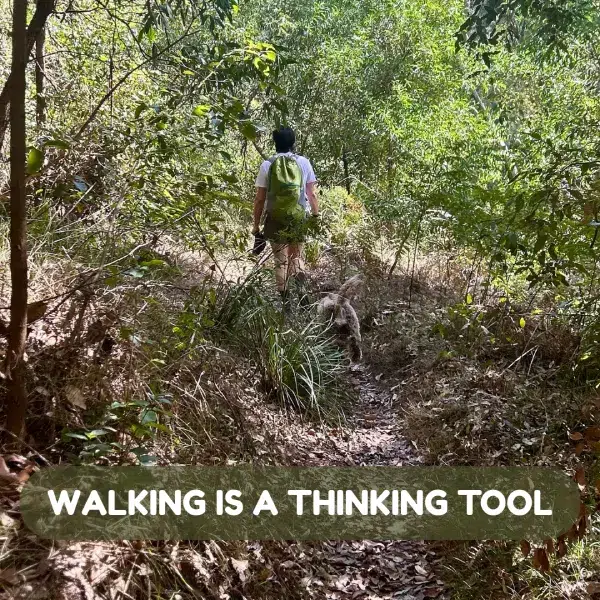 walking is a thinking tool